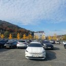 (대구) 수목원 (25.11.16.일. 경맥46산악회 정기산행).bonus국화전시회 이미지