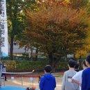 서울개일초등학교 이미지