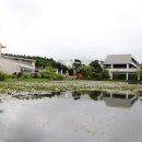 제주도 실내관광지 본태박물관투어 투어라이브 후기!