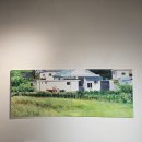 군포문화재단 노동조합 | [전시리뷰] &lt;주름진 경계, 펼쳐지는 몸&gt; - 몸과 장소의 기억이 교차하는 순간들