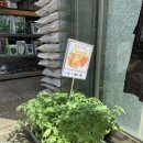 중앙농약사 이미지