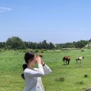 삼남매목장 2 이미지