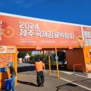 2024 제주국제무용제 | 2024 제주 국제 감귤 박람회 직접 다녀온 후기~~! 내 돈 내산~