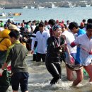 거제도국제펭귄수영축제 이미지