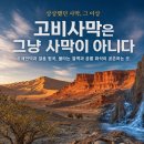 2027년7월4일(7일) 실크로드 고비사막(홍고린엘스 욜링암 바얀자그) 트레킹 준비중 이미지