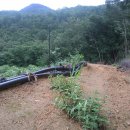 버들골농장 이미지