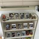 행복하댕 이미지