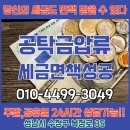 이루텍스 이미지