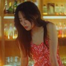 스타일펫츠 이미지