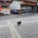 태백로컬푸드샵
