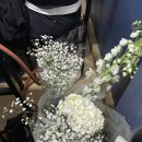 금해 복집 | [서울을지로맛집]철철복집 복소금구이,복고니,복지리탕 내돈내산솔직후기