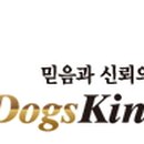 바른 애견 이미지