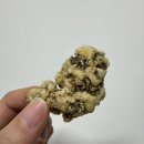 한.김 웰빙건강 | [비비고 김부각] 바삭함의 끝판왕! 온 가족 건강간식으로 딱 좋은 찹쌀·매운·새우 김부각 추천 후기