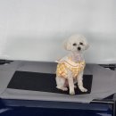 개편한 스쿨 이미지