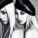 수주머리나라 이미지