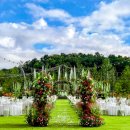 디바인밸리 이미지