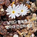 #️⃣맨발의 기적 걷기운동의 효과 -＜박성태교수 체험간증＞- 이미지