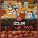 장안상회 이미지