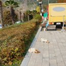 신촌마을길 이미지