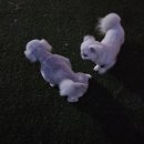 리틀파우스 이미지