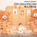 룩스 | 광주셀프스튜디오 추천 룩스스튜디오 신규테마 Dear Bear 촬영 후기