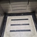 상계2동주민센터 | 엘리베이터 바닥 보수, 데코타일 교체 시공 완료(상계동 승강기)