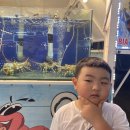하루의 찬 | 📝[푸꾸옥 가족여행 4화] – 수영만 4타임?! 캠비치부터 야시장까지 꽉 찬 하루