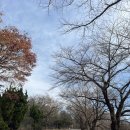 용인시립골드 테니스장 이미지