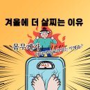 단백더하기점핑 | 겨울에 더 살찌는 이유? 원주 단백더하기점핑에서 다이어트하세요!