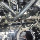 그랜드모터스 이미지