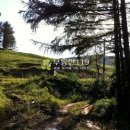 대불리목장 이미지