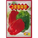 그로발 쇼핑하우