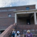 멍티스트 이미지