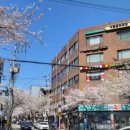 양재대로62길 이미지