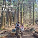 제주베이스캠프 | 제주여행 아이랑 럭셔리 글램핑 스타빌 제주 숲속 베이스 캠프 체험