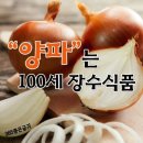 백세 식품 양파 이미지