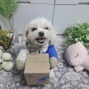 탕궈리라 - 아산시 용화고길30번길 5 | 탕궈리라