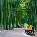 (주)길여행사 이미지