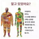 MSG와 아스파탐은 중추 신경계에 심각한 손상을 줄 수 있는데, 왜 정크 푸드 산업은 MSG, 아스파탐, GMO를 좋아하는 걸까요? 이미지