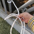 소 보정 - 화물차 로프 묶는 법 활용 이미지