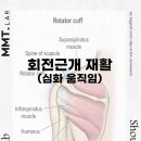 FITNESS153PT(피트니스153PT) | 용강동 헬스장 MMT FITNESS PT 헬스 위치.시간.가격.후기