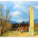 (구례여행) - 구례산수유꽃축제에 다녀오다 이미지