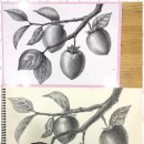 영재교육센터학원 이미지