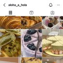 알로하올라 이미지
