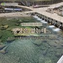 오늘,지금 | 평상은 없는데... 지금이 더 좋은 산청 내대계곡 실시간 후기 (오늘 방문)