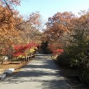 국립자연휴양림관리소 회문산자연휴양림 이미지