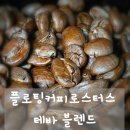 커피 덕후가 극찬한 플로팅커피로스터스 테바 블렌드 산미와 바디감 완벽 조화!