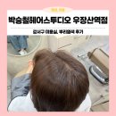 우장산힐스테이트(아) | 우장산역 미용실 추천! 박승철헤어스투디오 뿌리염색VIP 찐 후기(feat. 채은 디자이너)