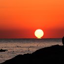 오시리아 이미지