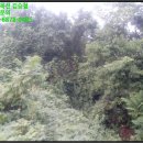 여주-1140 이미지